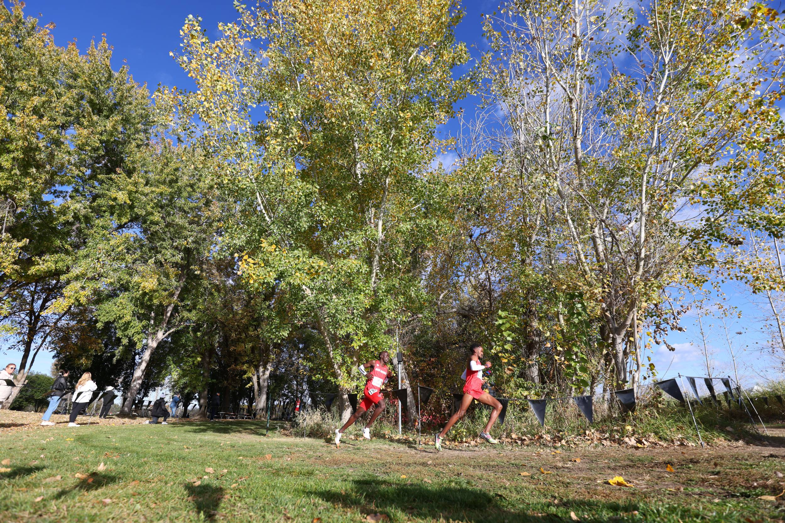 Three MW Programs Ranked in Latest National Cross Country Polls