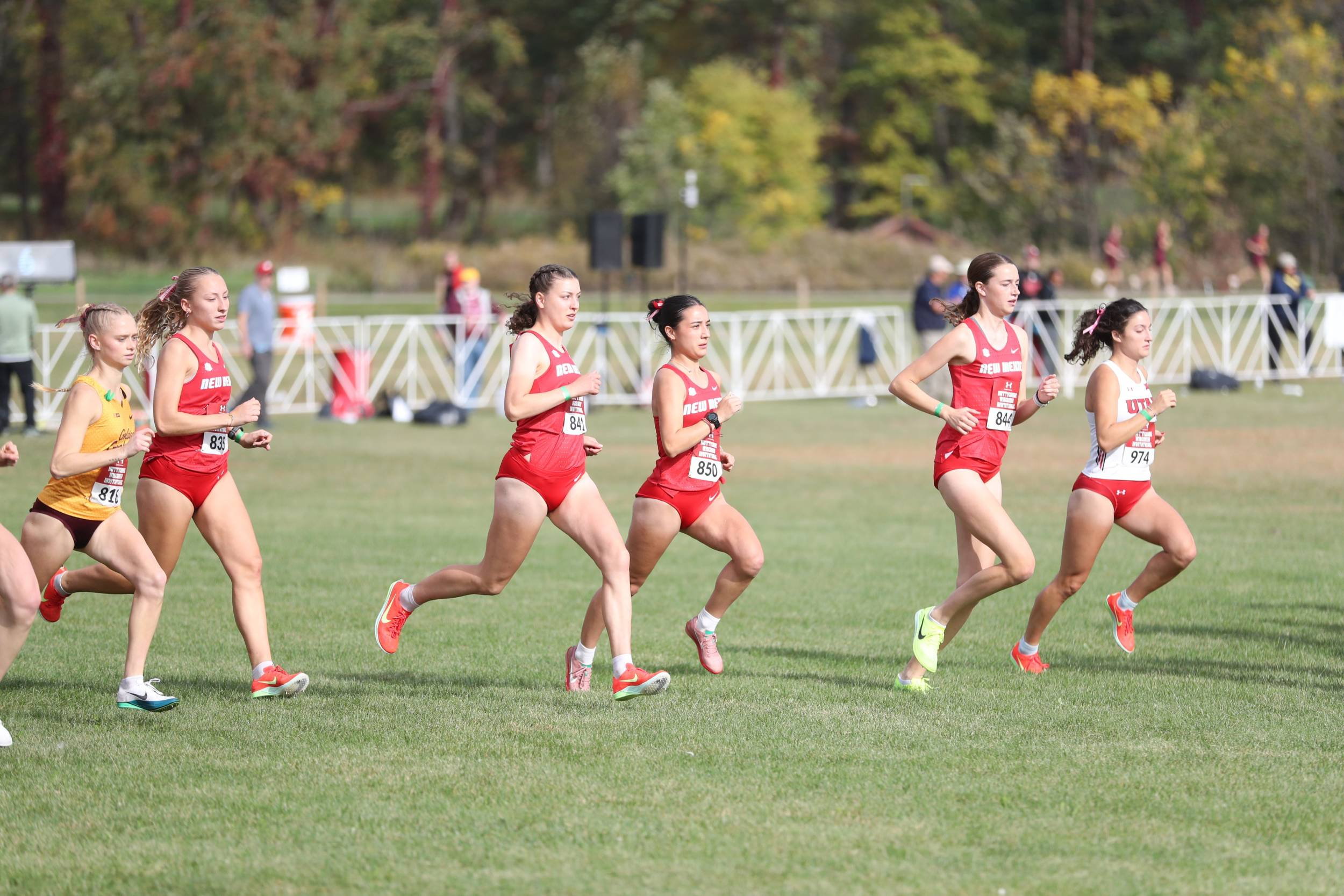 Lobo Men and Women in Top 10 of Final Regular Season National Polls, Air Force Men in Top 25
