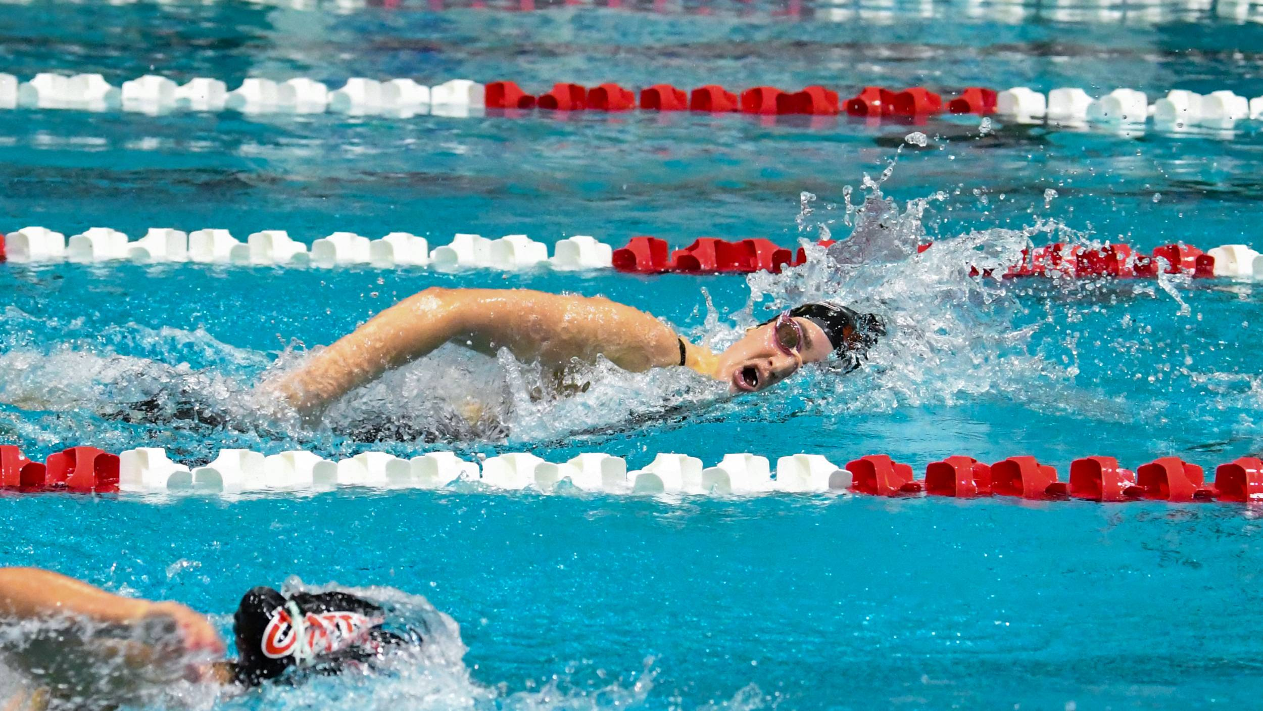 COUGARS OPEN CHAMPIONSHIPS WITH TRIO OF WINS