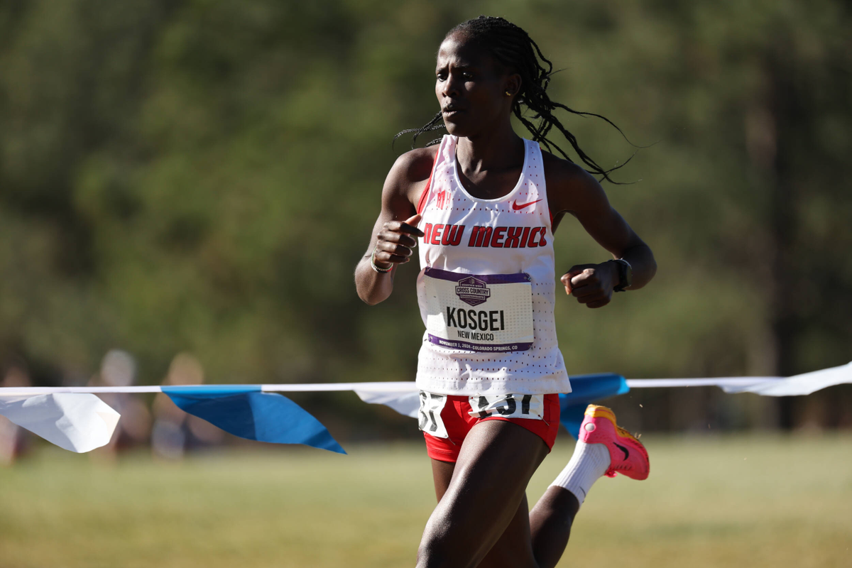 Lobo Men Finish 2nd, Women Place 3rd at XC Mountain Regionals