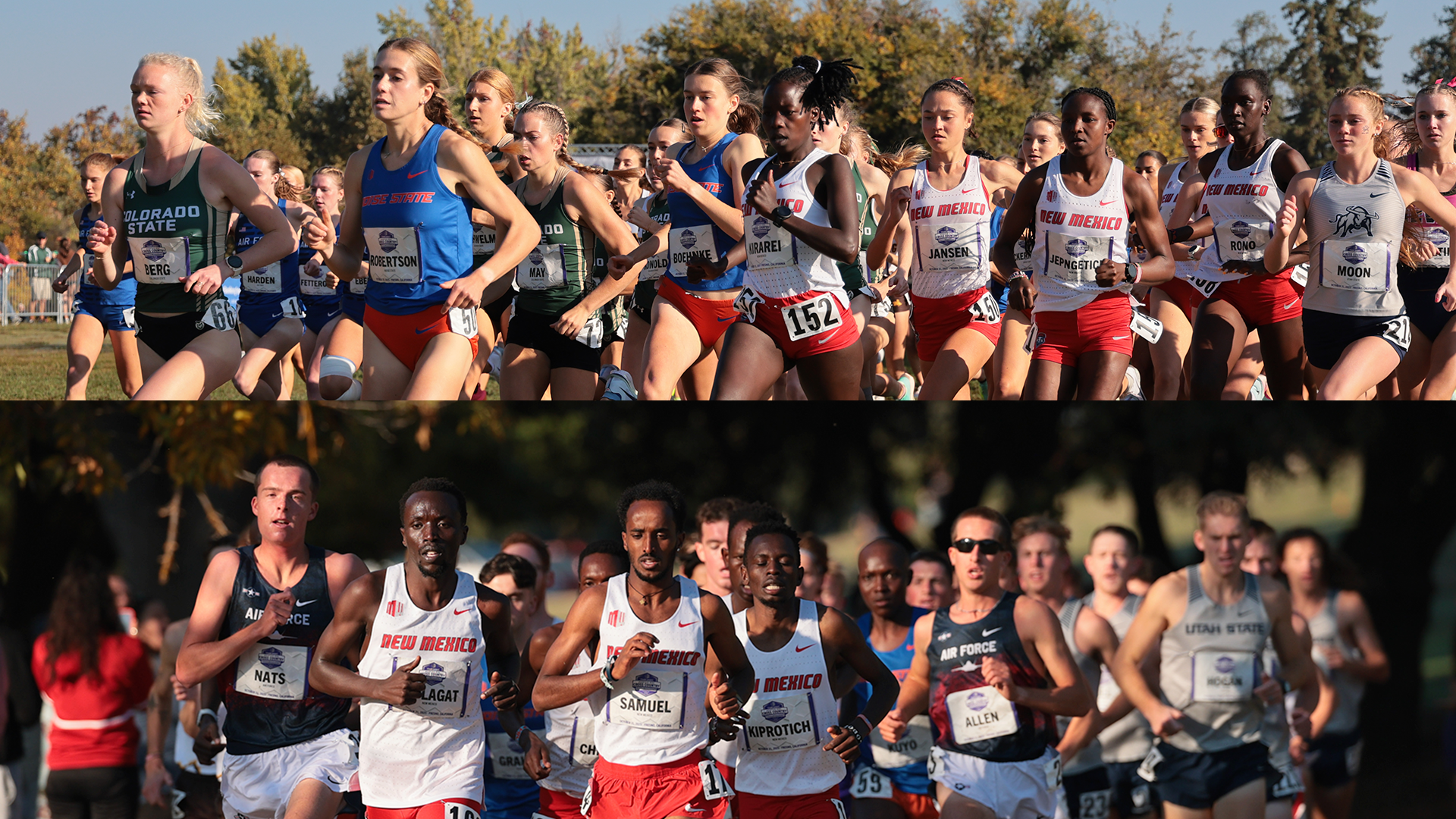 NCAA Regionals Up Next For Mountain West Cross Country