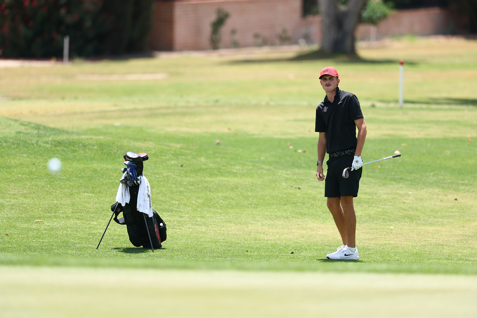 Harry Takis Finishes 13th at NCAA Marana Regional