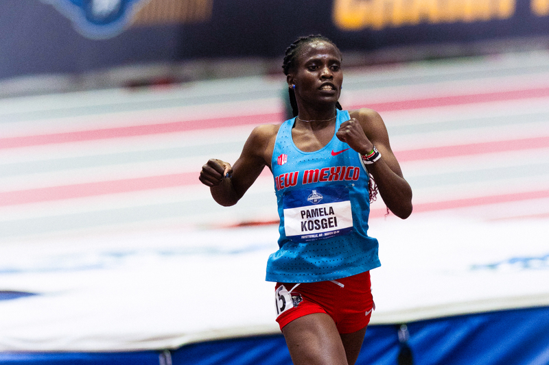 Three Lobos Earn First Team All-America Honors on Day 2 at NCAA Indoor Championships