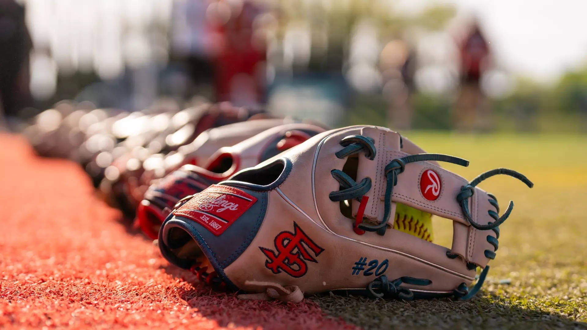 Charlotte Morgan named Fresno State head softball coach