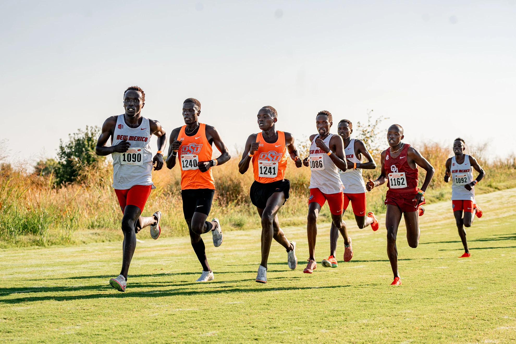 Lobo Men and Women Remain in Top 5 of National Polls, Air Force and Boise State Men in Top 30