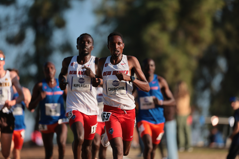 Lobos Sweep NCAA Mountain Region Team Titles in Salt Lake City